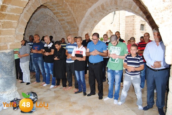 mahmoduia 3eed 808 (38).JPG